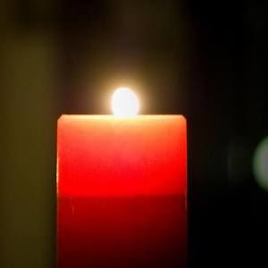 Meet your Posher, Anne